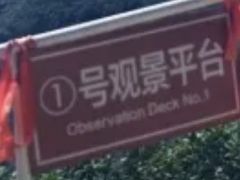 -六里坪国家森林公园