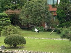 -西郊宾馆·1921餐厅