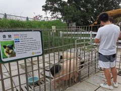 -光明小镇欢乐田园