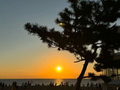 -日照灯塔风景区