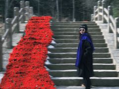 -洛阳白云山景区