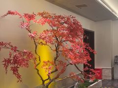 -董家大院·京味家常菜(朝丰家园店)