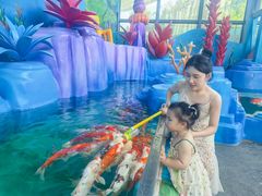 -海合安成都极地海洋公园