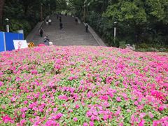 -南宁南湖公园