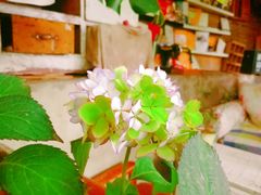-懒鱼时光馆(沙坪坝店)