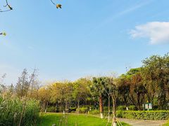 -飞来湖湿地公园