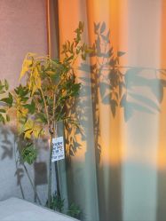 -己悦美学·皮肤管理
