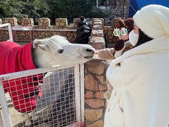 -金庭庄园酒店-停车场