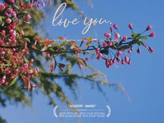 -青岛沙子口国家中心渔港