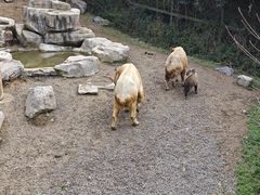 -宁波野生动物园