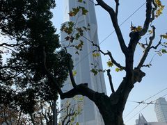 -上海明天广场JW万豪酒店