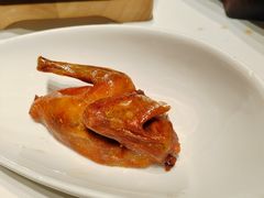 金奖芙蓉鸽-好食上(喜盈门.范城店)