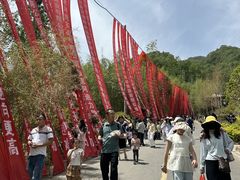 -栾川竹海野生动物园