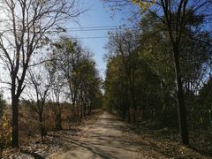 -紫光园(顺义店)