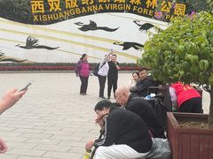 -西双版纳原始森林公园