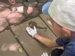 -五营红松林海景区