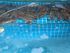 -蓝珊甄选海鲜自助·火锅大排档(近阿那亚店)