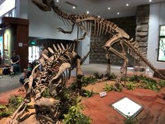 -自贡恐龙博物馆