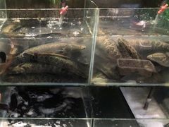-江南鱼捞(北仑银泰城店)