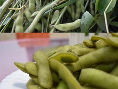 -小陆莲花蟹园农家乐(莲花岛店)