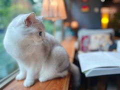 -咖法森林·咖啡  酒吧(天河店)