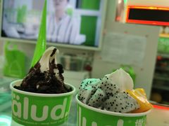 -Salud撒露欧洲冻酸奶(五道口购物中心店)