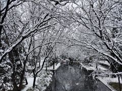 -洛阳白马寺