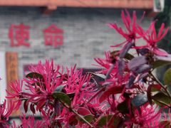 -红山村