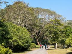 -中国科学院西双版纳热带植物园