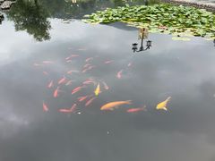 -信阳灵山风景区