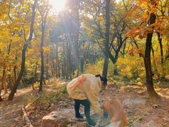 -沈阳辉山风景区