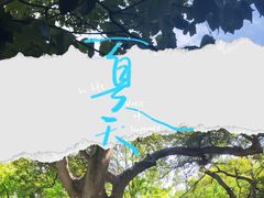 -中国福利会少年宫