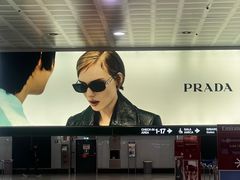 -米兰马尔彭萨国际机场