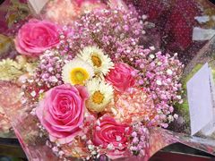 -盒马鲜生(大成店)