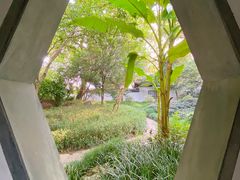 -秋霞圃