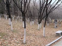 -长春世界雕塑园冰雪艺术天地