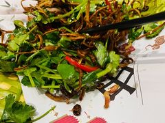 茶树菇-尚上座