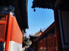 -北京艺术博物馆(万寿寺)