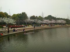 景点-新江湾城公园