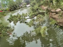 -上海醉白池公园