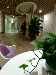 点击看大图 -生命加•Q考拉月子会所(玫瑰园店)