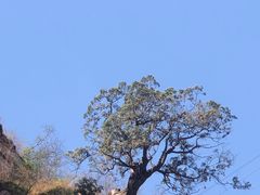 -苍岩山风景名胜区