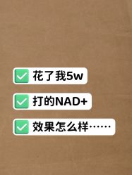 -北京新星靓医美