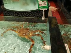 -尚海豆捞(乐虹坊店)