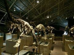 -世界恐龙谷景区