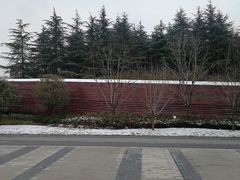 -昆山城市生态森林公园