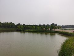 -东郊湿地公园