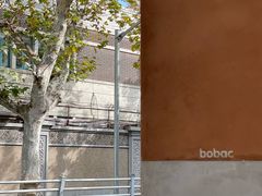 -BOBAC