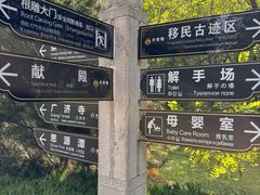 -大槐树寻根祭祖园