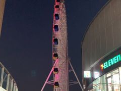 -琴岛之星摩天轮